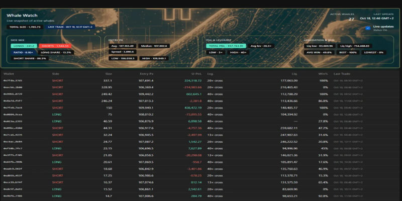 Automating Your Workflow to Track BNB Whales in Real Time