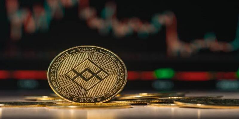 Check the current figures inside the app before you stake BNB on Trust Wallet
